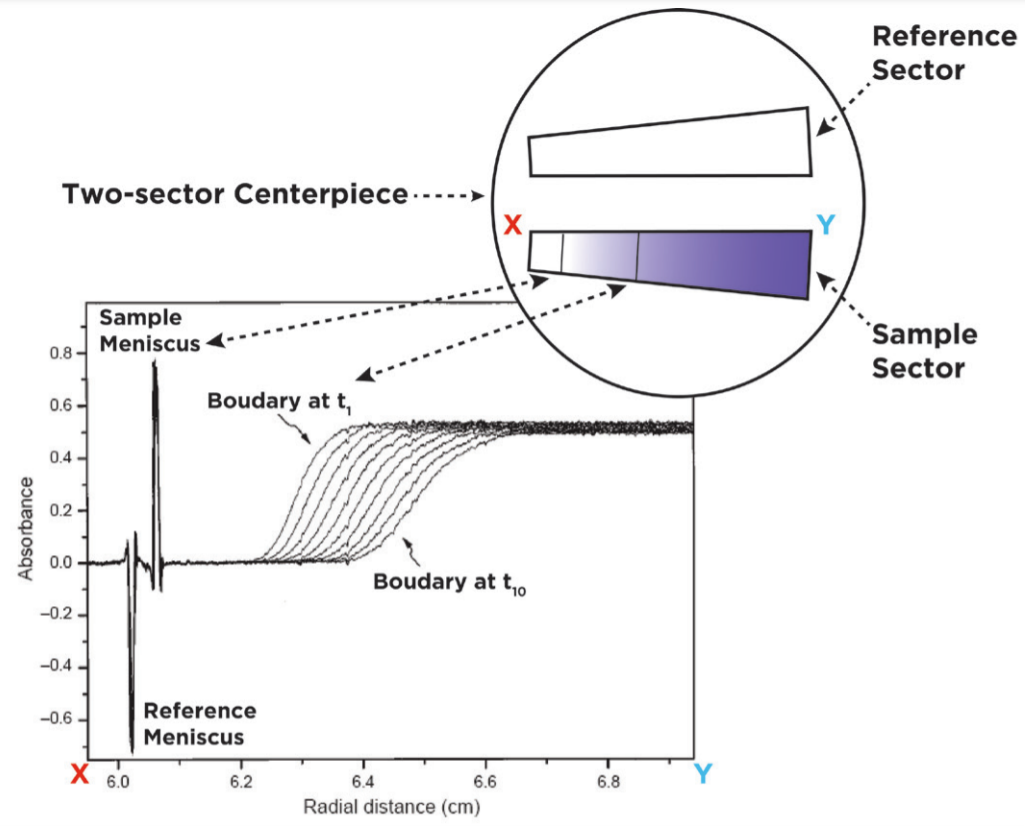 Applications of Ultracentrifugation in Purification and